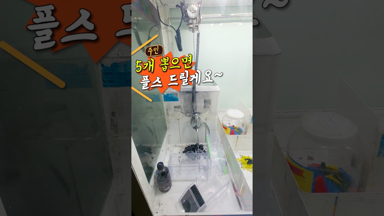 플스5 뽑기