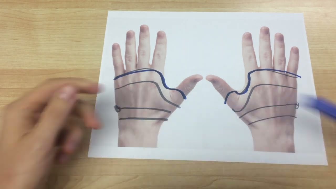 Mapping the Lymphatic System - Reflexology