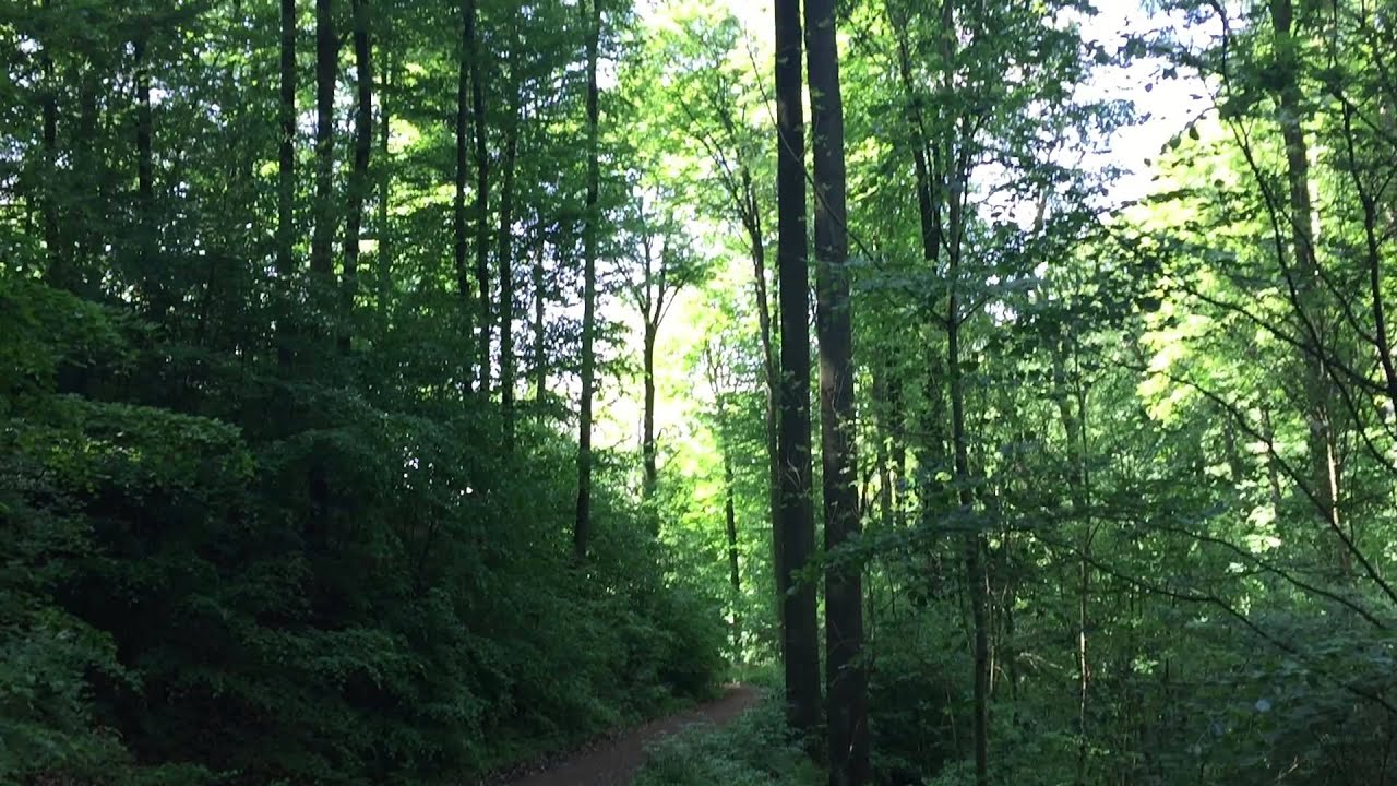 Odenwald