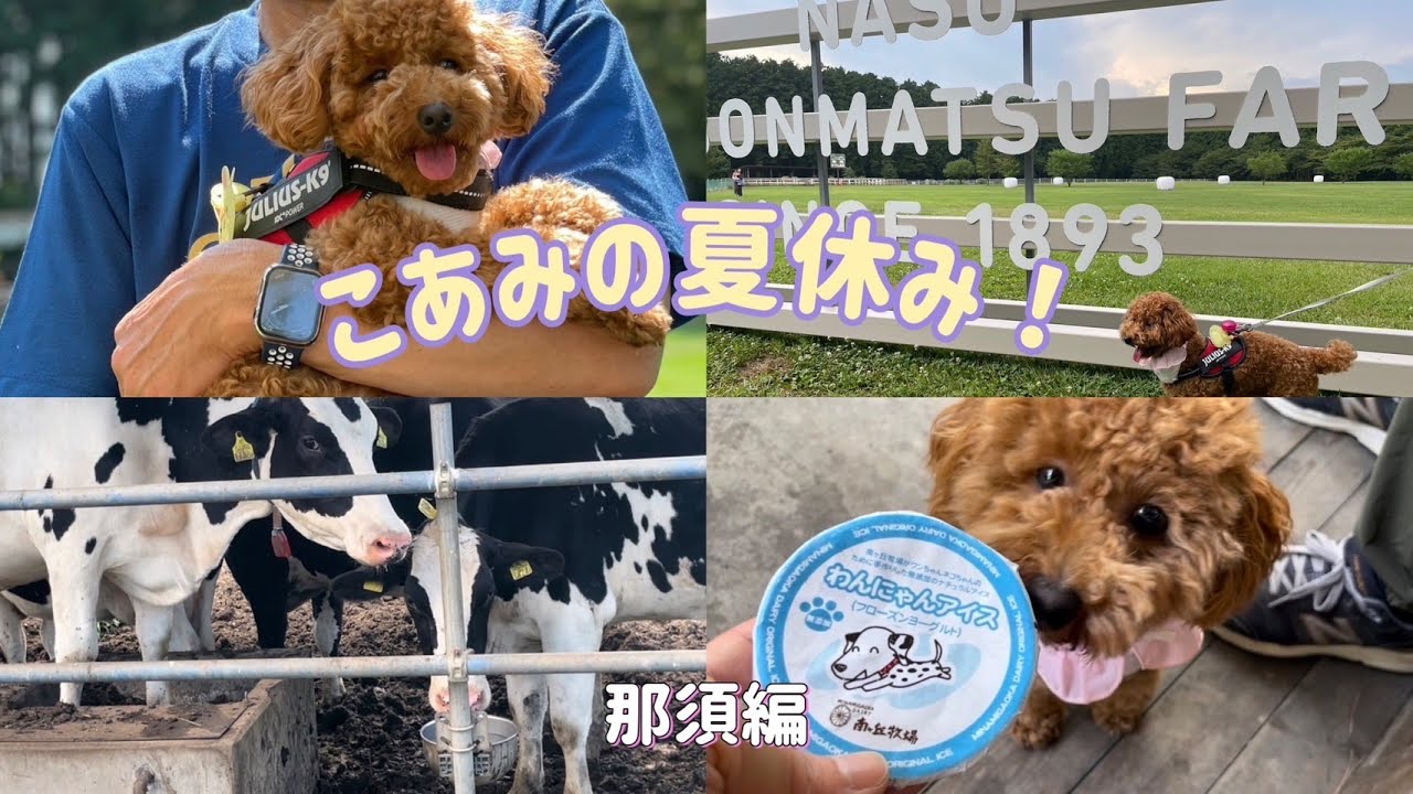 那須高原に行ってきたよ／このドックラン最高すぎ！／涼を求める旅