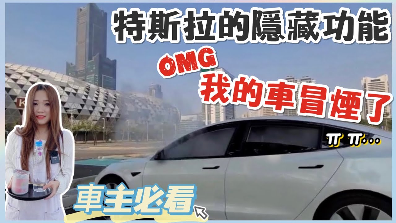 特斯拉掉車牌解決辨法｜車內有小蟑螂怎麼辦｜Model 3內藏救命手動煞車｜【Echo’s Ev Life】