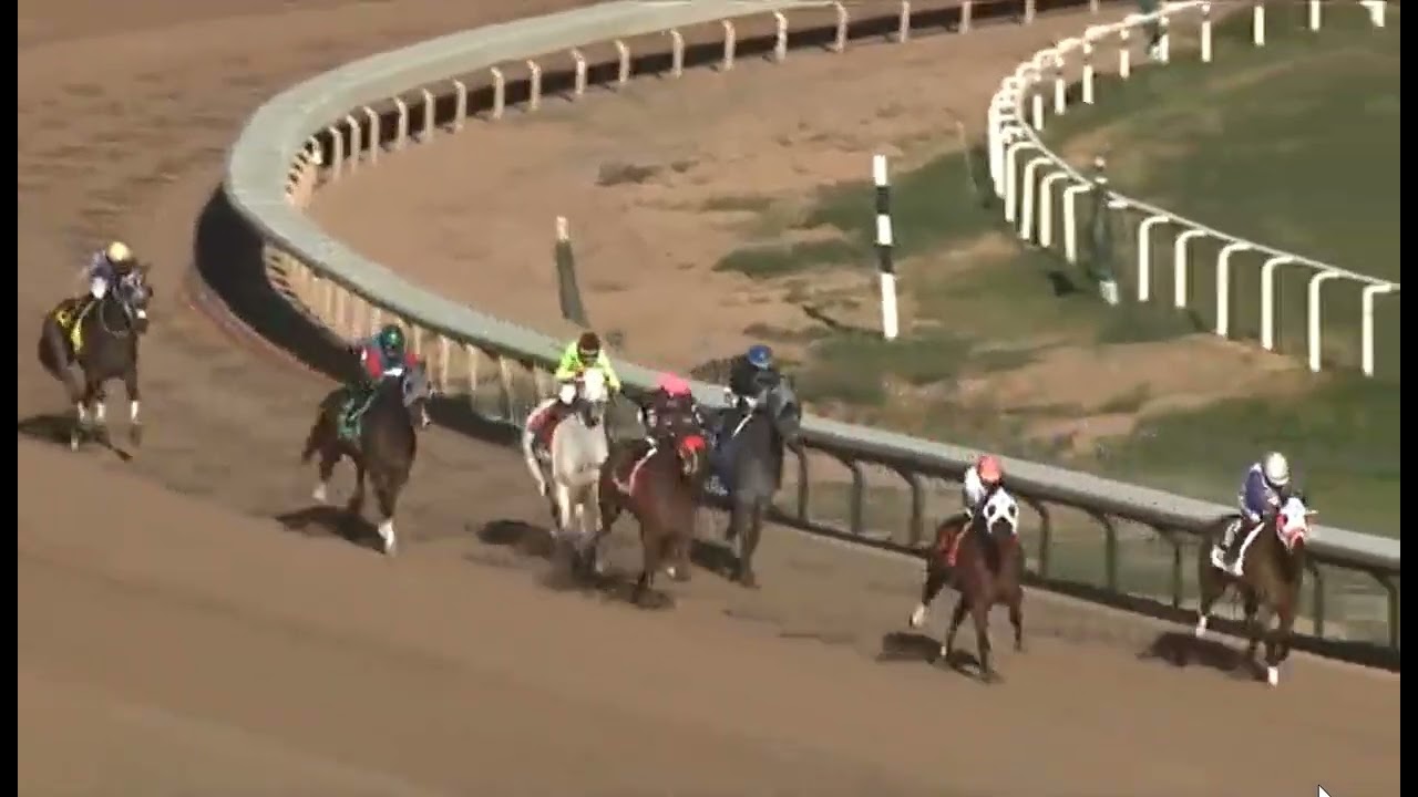 R8 TURF PARADISE USA 19 FEB 2026