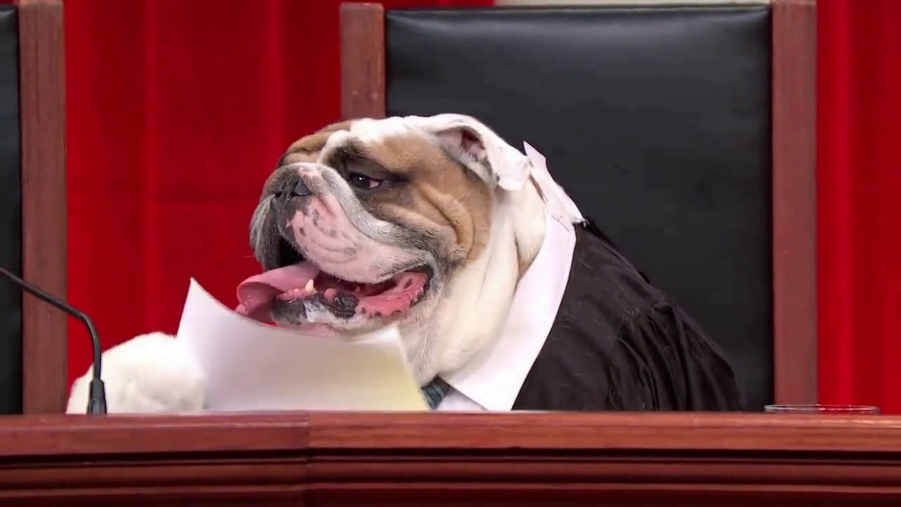 Florida v. Harris: Oral Argument - October 31, 2012