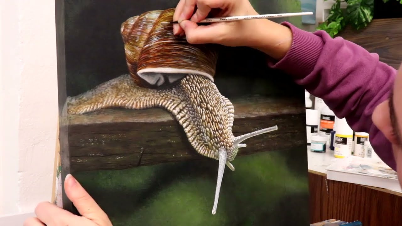Acrylic Paint is Amazing, Transparent Paint to Create a Realistic Snail #9 of 31 Animals in 31 Days
