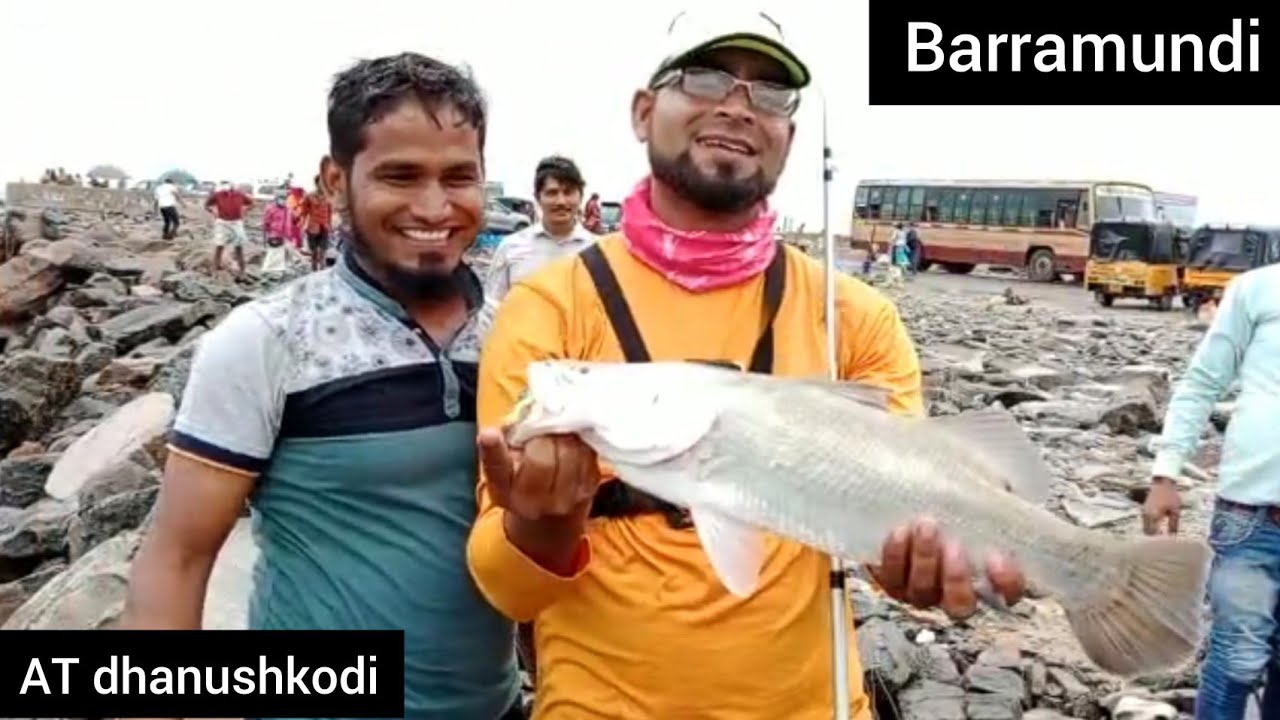fishing trip to dhanushkodi long trip barramundi grouper MJ catches#fishingvideo #barramundi #mj