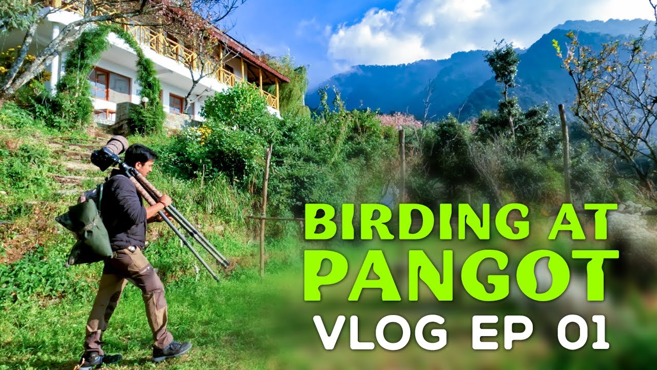EP 1 - Pangot 2022 Vlog in Nainital with Tata Harrier, Uttarakhand 4K Video Hindi | हिन्दी