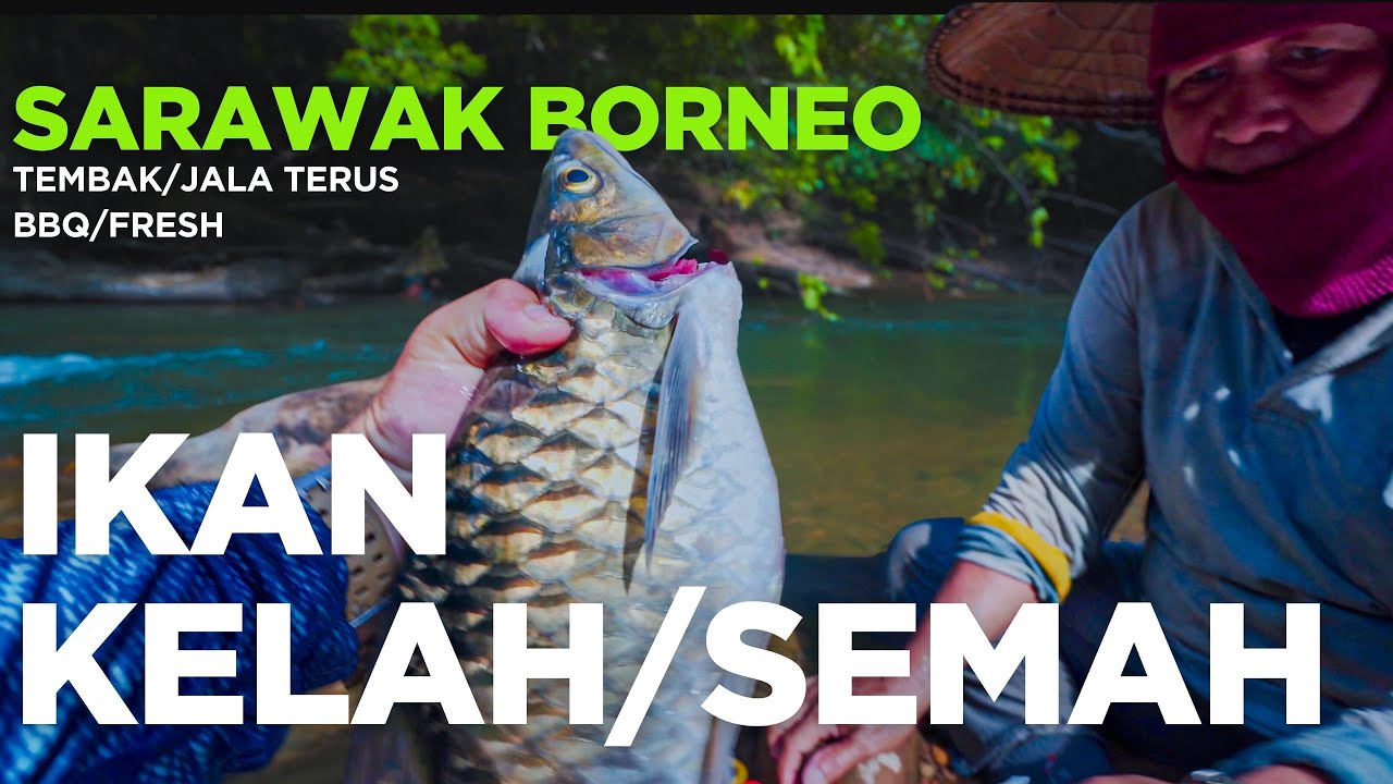 OFF ROAD CAMPING FISHING ADVENTURE into the FOREST of BORNEO 