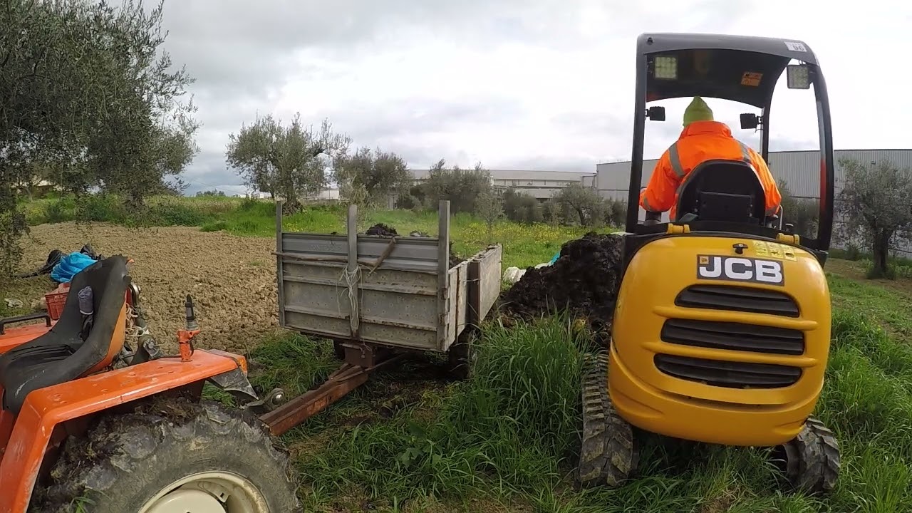 Carico letame con jcb 8018 e pollice idraulico