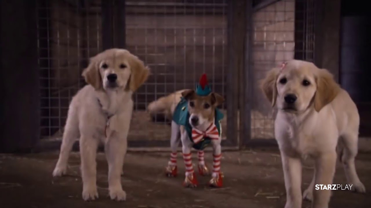 Trailer | SANTA BUDDIES | Starzplay