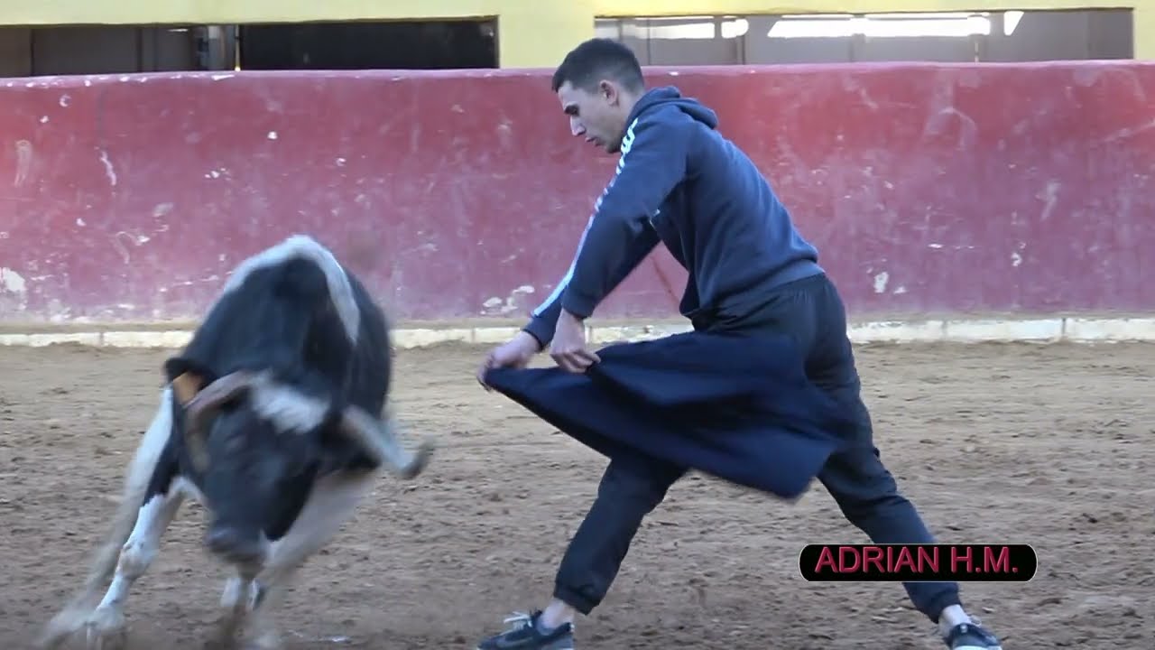 Finca Buenasombra - Suelta de dos vacas de Virgen María y Barcial