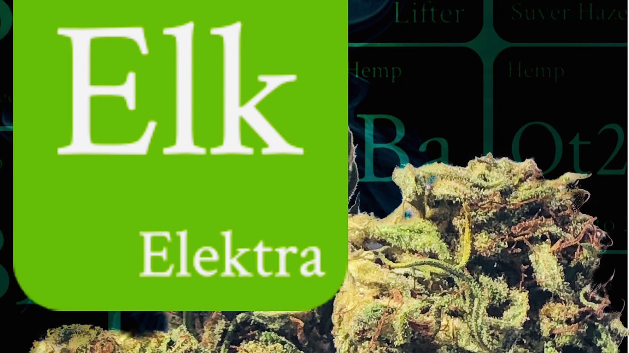 CBD strain Elektra REVIEW from Canna Comforts Hemp Bud