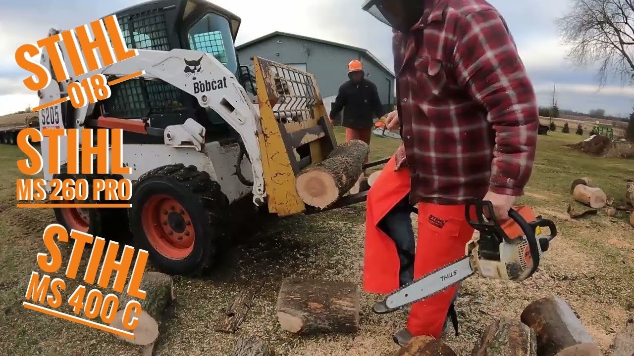 Stihl 018, MS 260 Pro, & MS 400 Cutting Ash Trees!