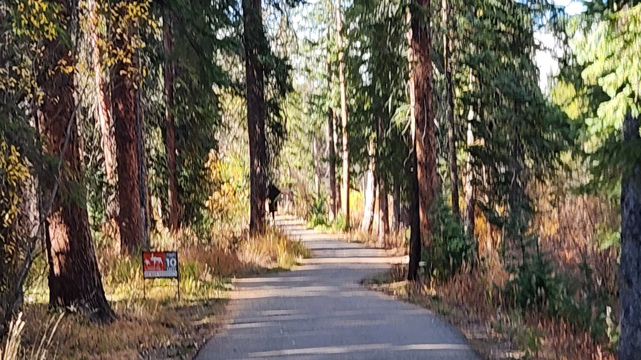 Walking on the Fraser Trail.