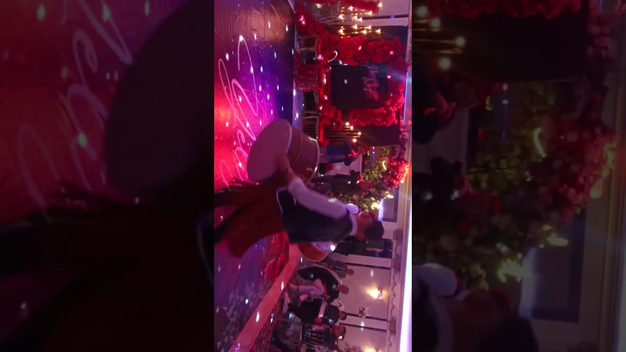 bursa gecler davul zurna ekibi GS 05363986174