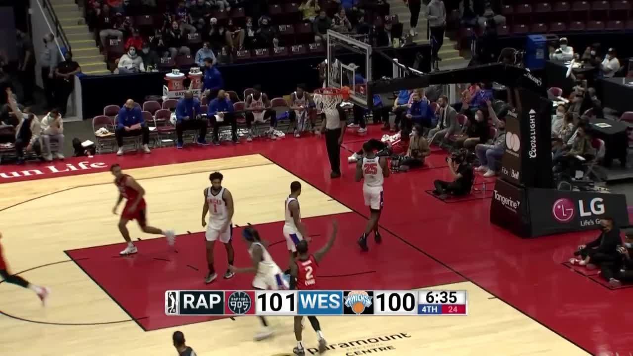 David Johnson (18 points) Highlights vs. Westchester Knicks