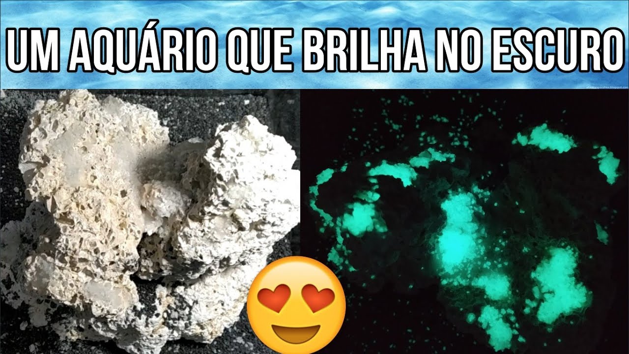 Montei um Aquário Que brilha no Escuro🤩