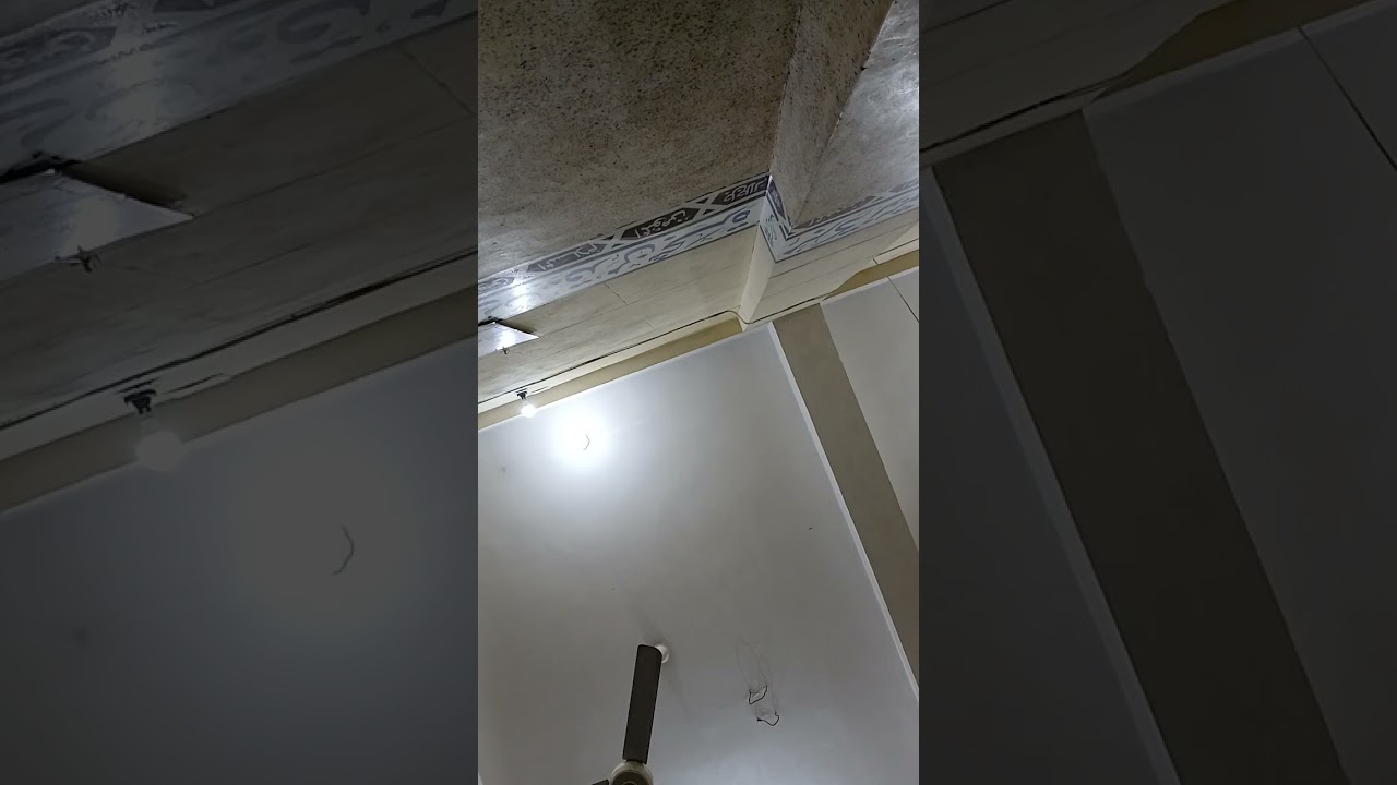 رحلتي..فلنولينك..ويوسف...العشاء...مسجد أولياء الله...٥ فبراير ٢٠٢٦م...
