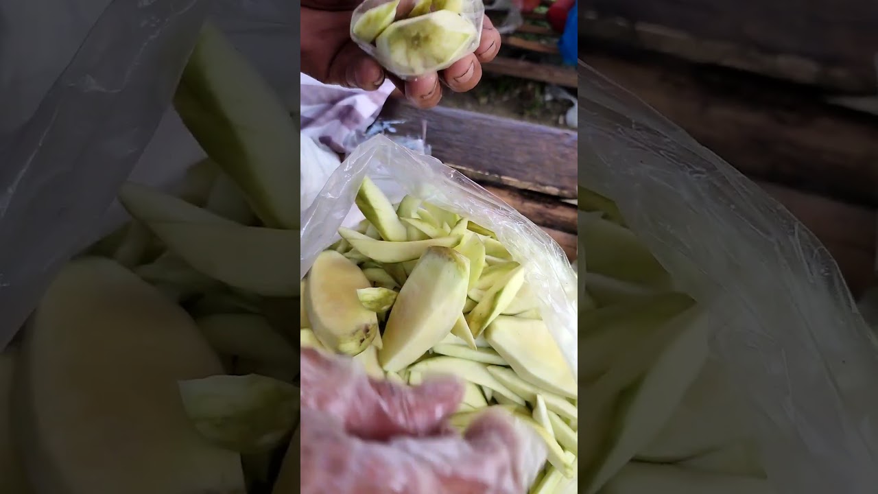 #mangga #mango #viral #shorts #fruit #shortsfood ##yummyfood #snack #sour