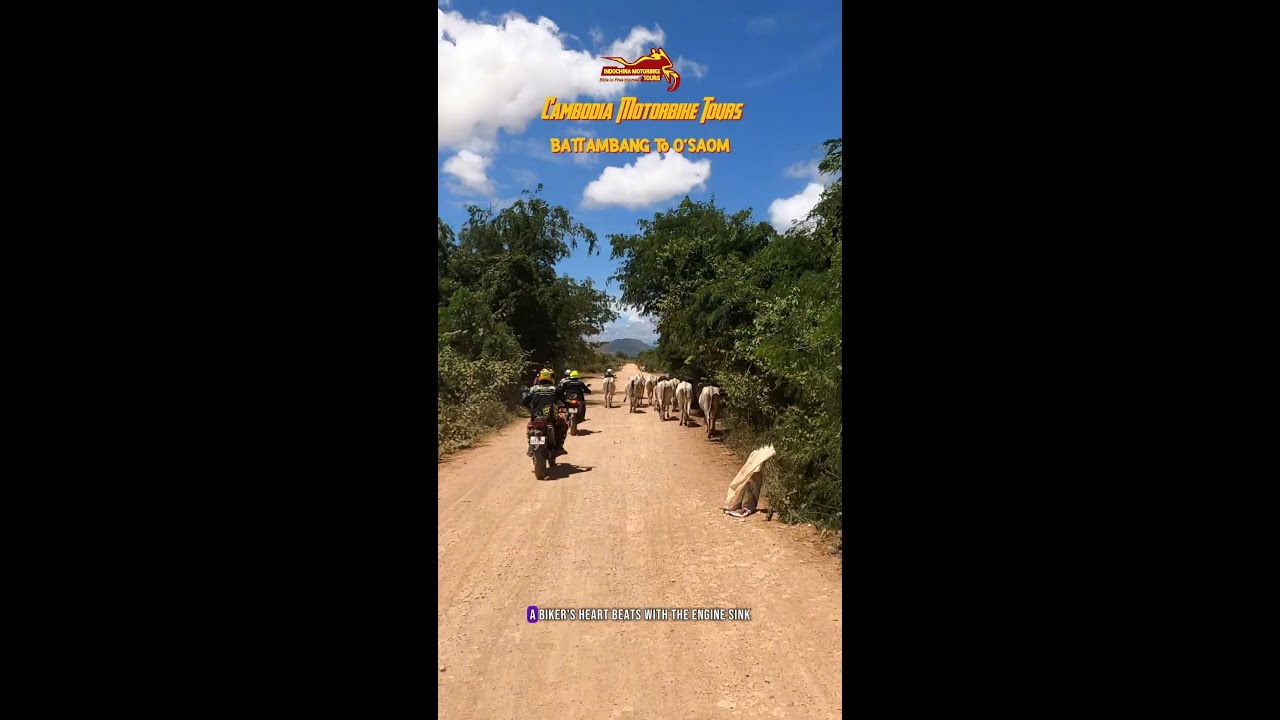 Battambang motobike tour to O'Saom

CAMBODIA MOTORCYCLE MOTORBIKE OFFROAD DIRTBIKE ADVENTURE 2026
Ri