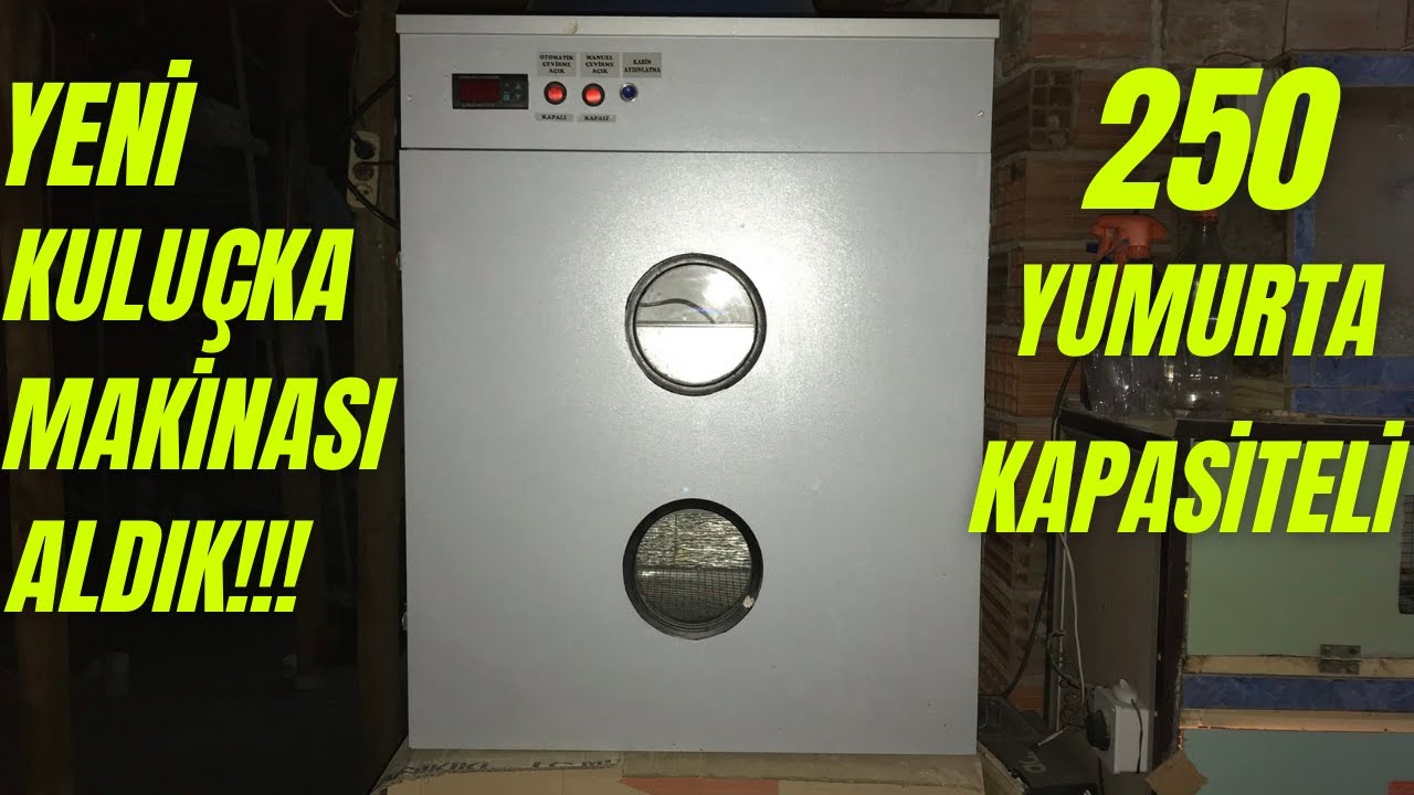 SERVO 250 LİK KULUÇKA MAKİNASI İNCELEMESİ - ALINIR MI? (2022)