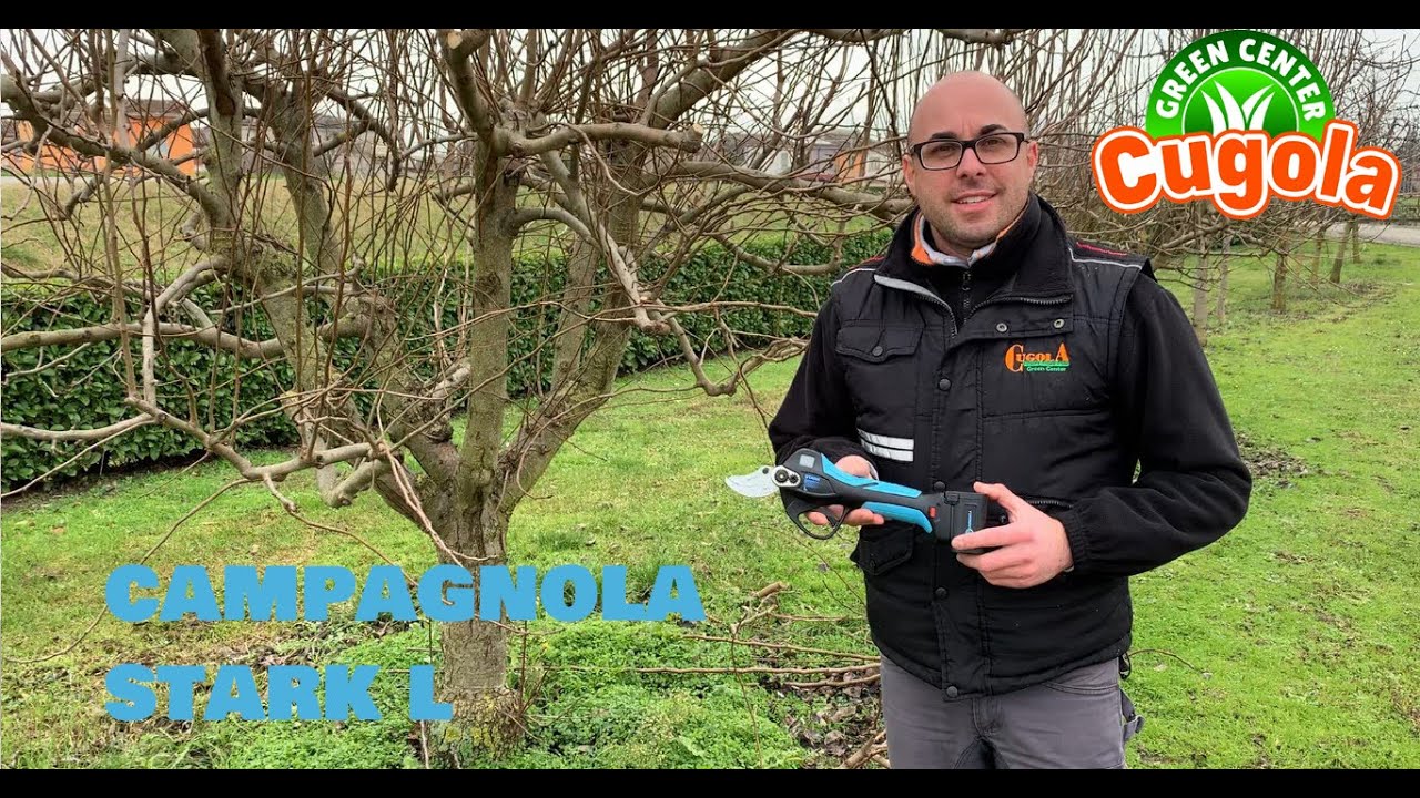 Forbice a Batteria-Campagnola STARK L