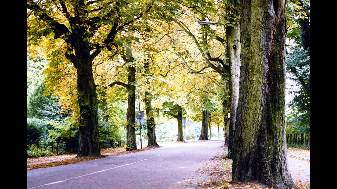 Castricum in het groen