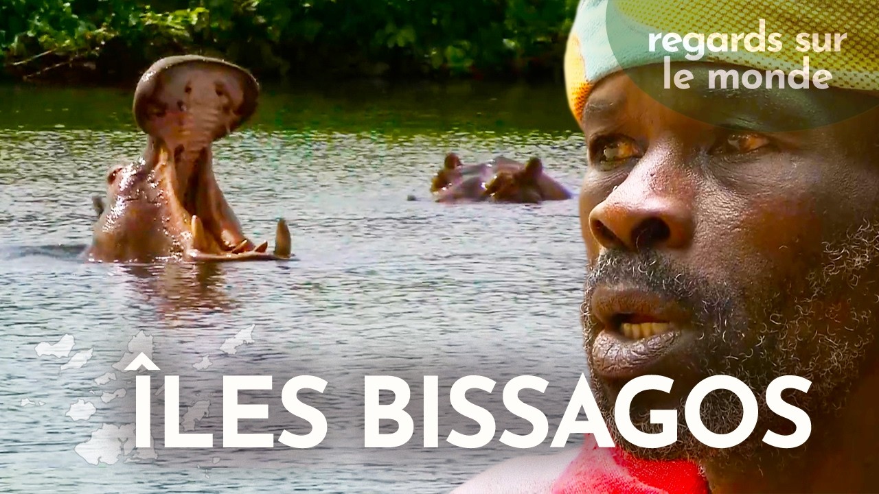 Les îles Bissagos : la terre des guérisseurs en Afrique de l'Ouest | Vue sur Terre | Documentaire HD