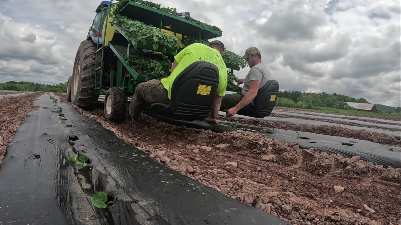 USING AN INTERESTING PLANTING TOOL ON OUR VEGETABLE FARM