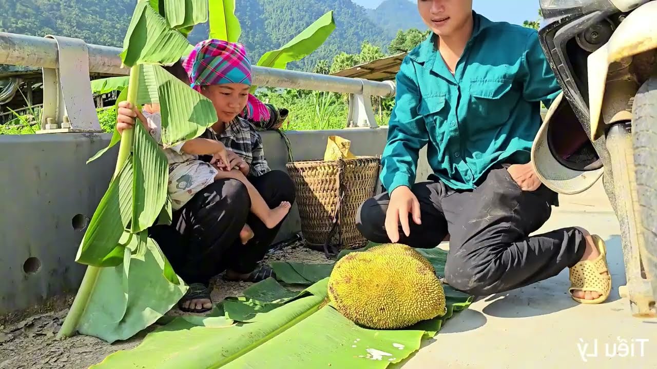 TIMELAPSE : Life of a Single Mom - Harvesting Produce to Sell - Building a Life