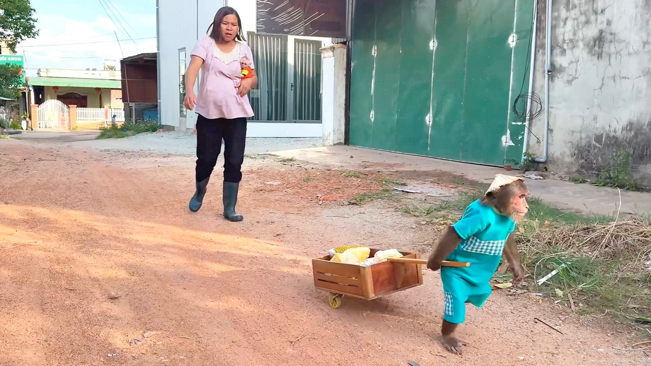 Mom Finds Out CUTIS Snuck Out to Sell Jackfruit