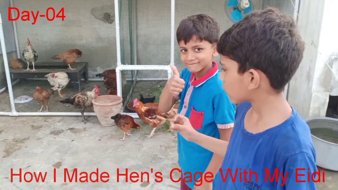 How Sunair & Samar Made Hen's Cage With Eidi