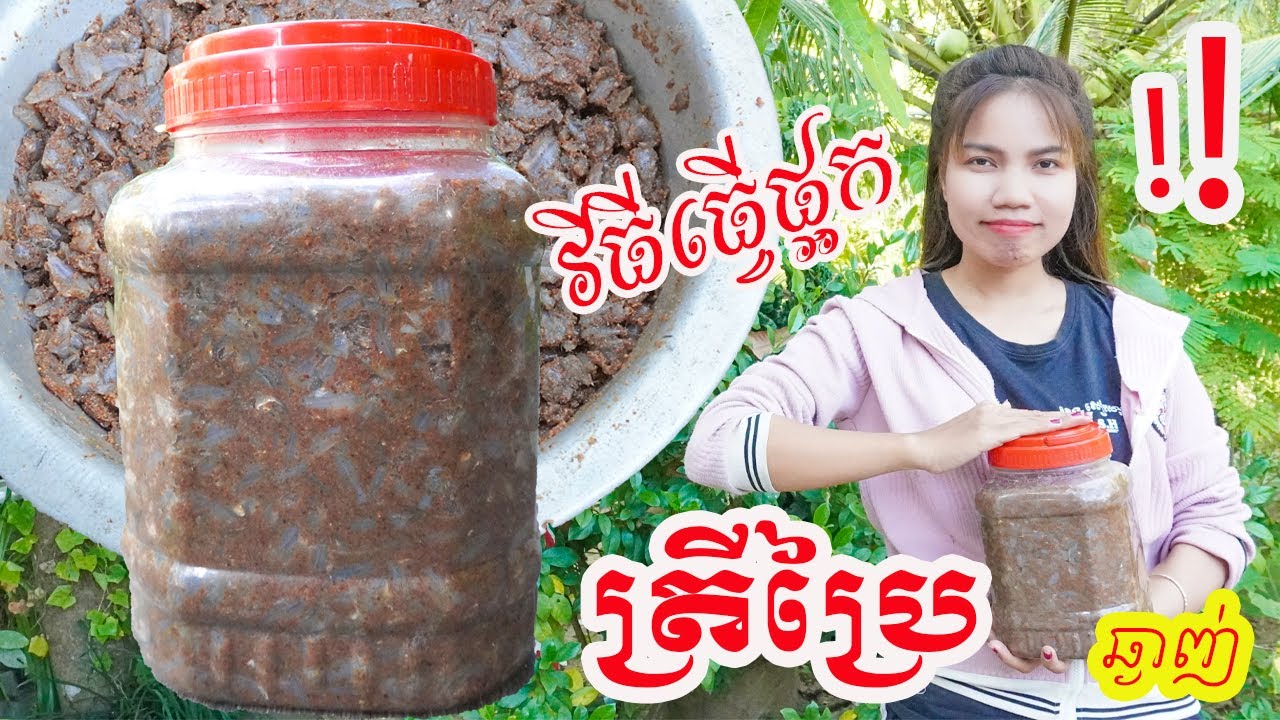 វិធីធ្វើផ្អកត្រីប្រៃ ទុកបានយូរ​ - How To Make Fermented Fish​ Long lasting @Dysamras