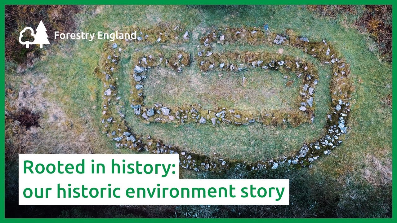 Rooted in history: our historic environment story