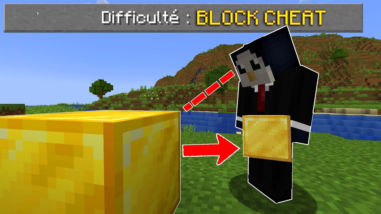 Mon REGARD RÉCUPÈRE TOUS LES BLOCS sur MINECRAFT !
