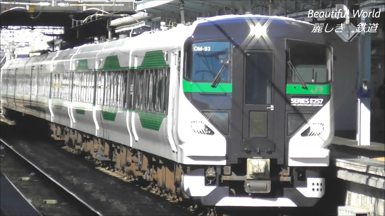 E257系5000番台OM-93編成 長総を出場・回送される！最後の武田菱ﾃﾞｻﾞｲﾝ車両も新時代に！年末の臨時特急「あずさ81号」の運用に入るか？！2021.12.20   panasd 2538
