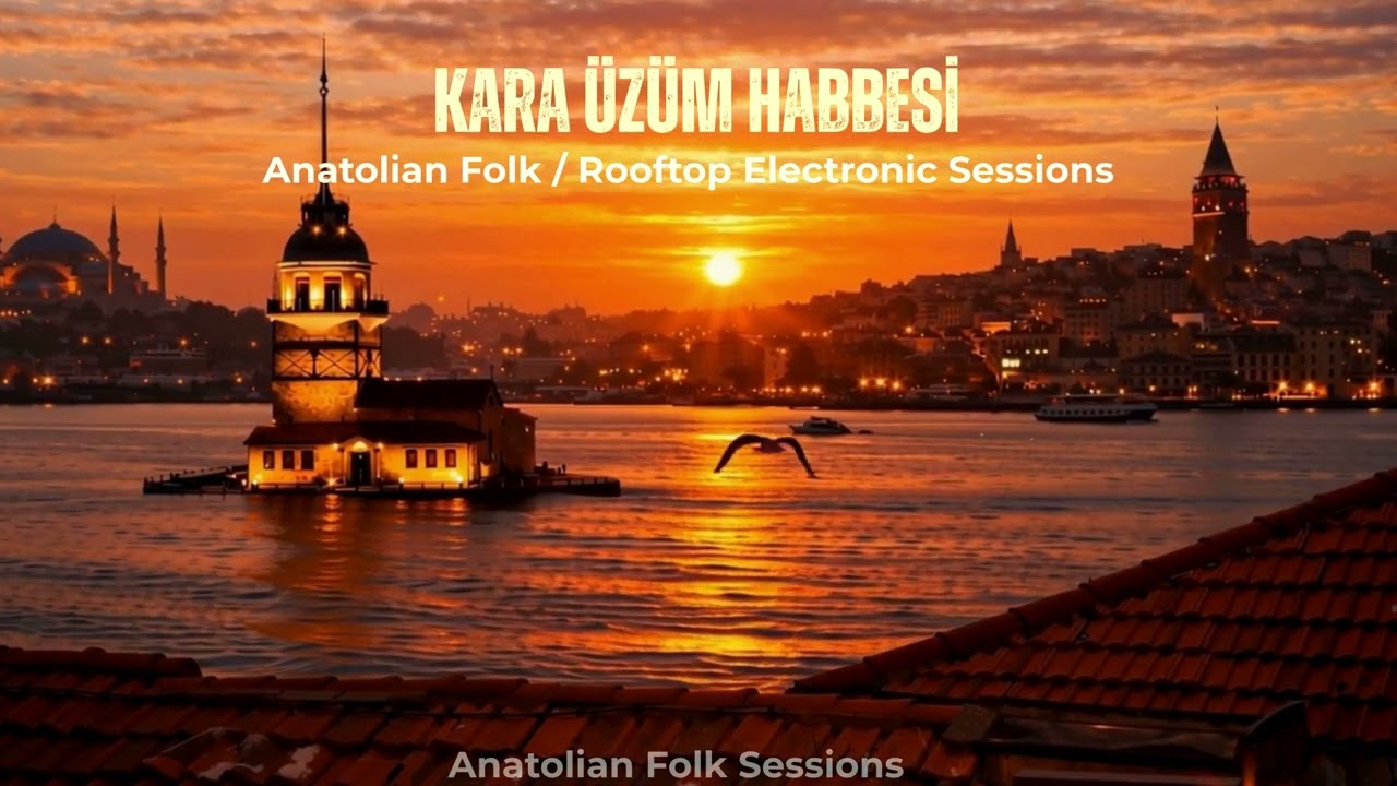 Kara Üzüm Habbesi – Istanbul Rooftop Live Set (Organic Downtempo Rework)