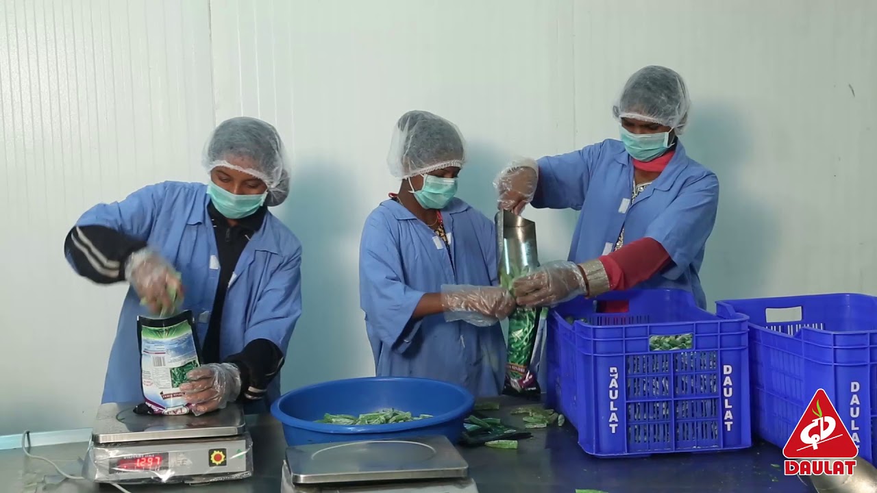 Frozen Vegetables India By Daulat Agro