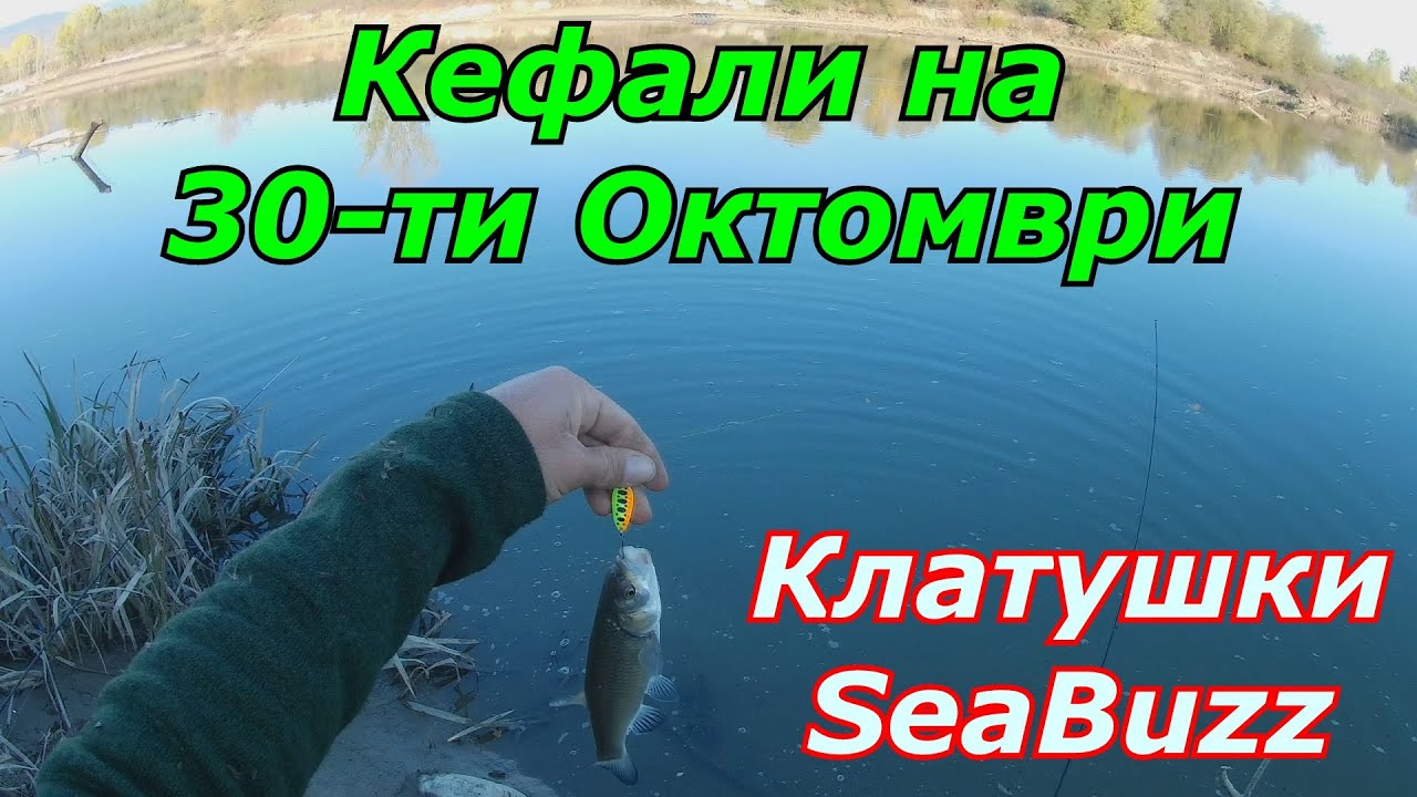 Кефали на 30 ти Октомври, на клатушки SeaBuzz