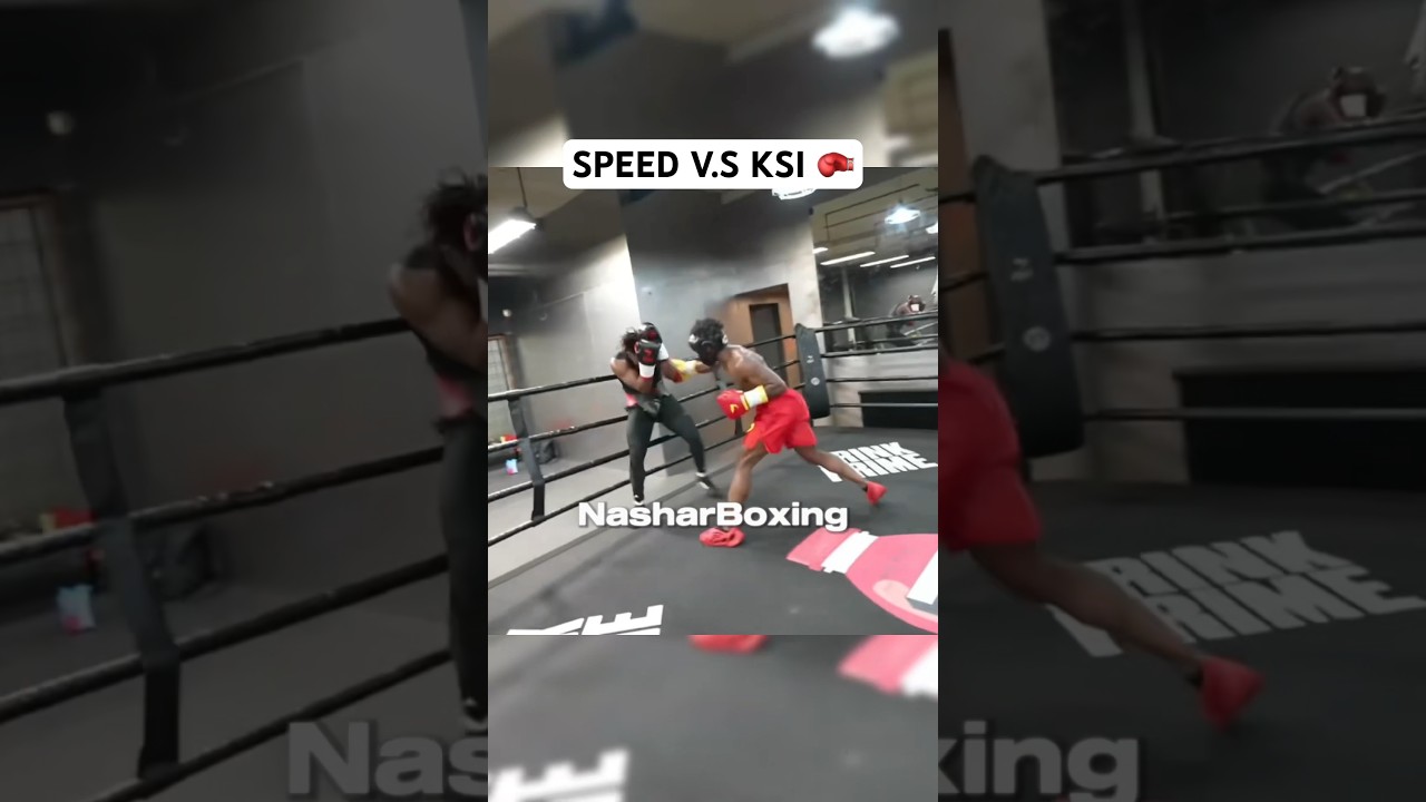SPEED V.S KSI 🥊 #speed #ksi #ishowspeed #boxing #fight #ko #fighting #viral #stream #mma #shorts