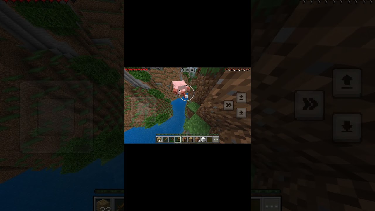 Si muero se acaba el video