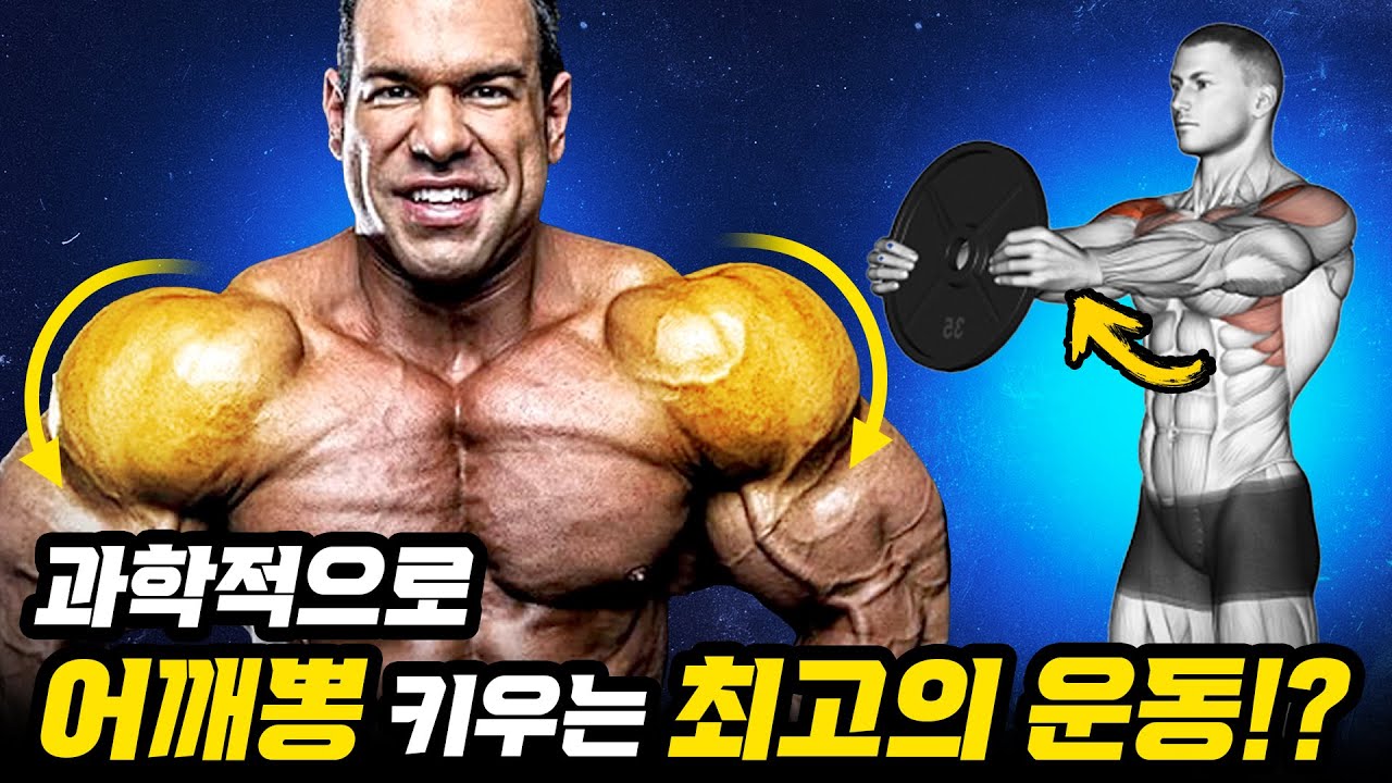 과학적으로 밝혀진 근육 활성도가 가장 높은 어깨 운동 1위는?! [사레레 자세/프론트 레이즈/어깨 후면 운동/어깨 루틴]