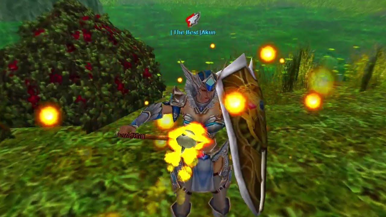 Knight Online Oreads. Akın, CC priest, PK serisi: 54