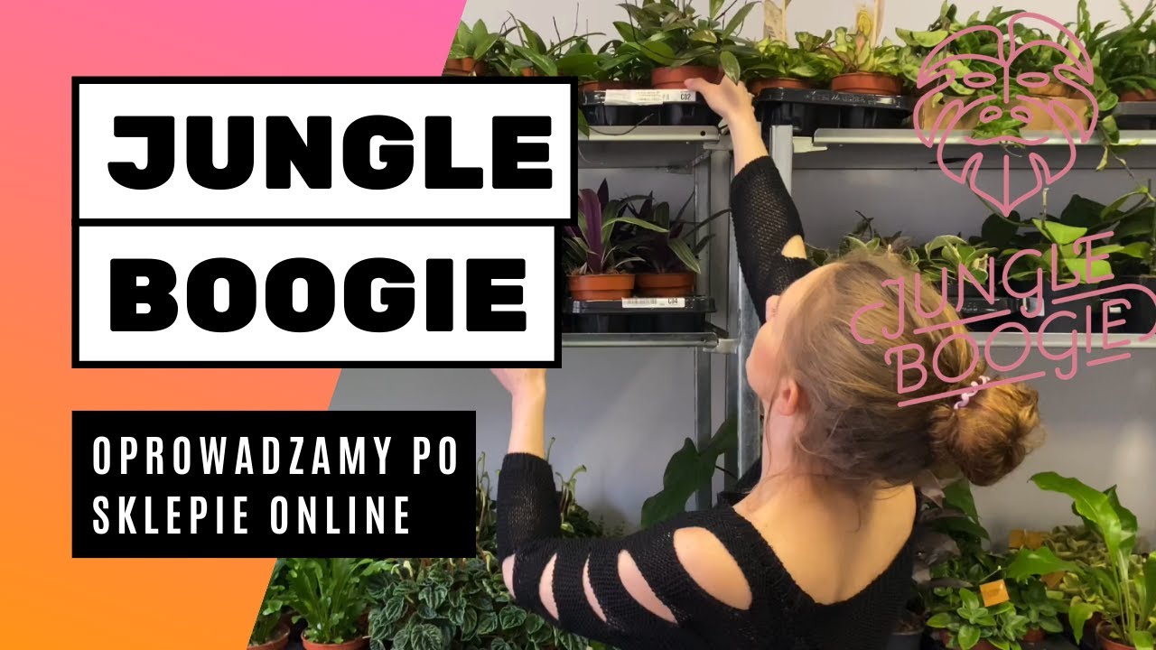Wycieczka po naszym sklepie internetowym Jungle Boogie czyli jak to wygląda od środka:)