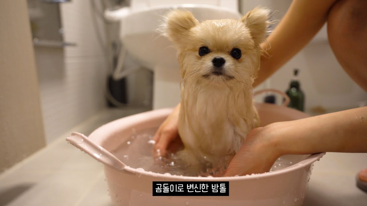 처음으로 엄마가 목욕 시켜줬어요