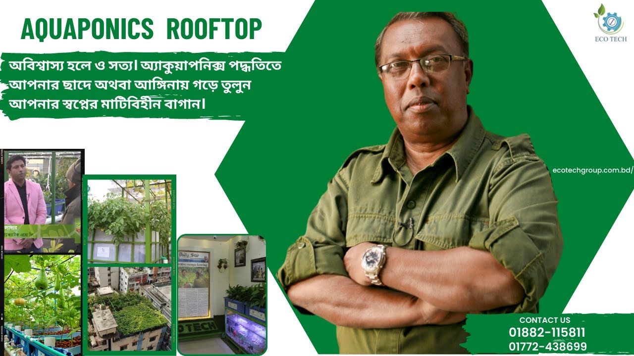 Aquaponic Technology Bangladesh | Organic Farming | Ecotech Organic Garden | মাটিবিহীন বাগান