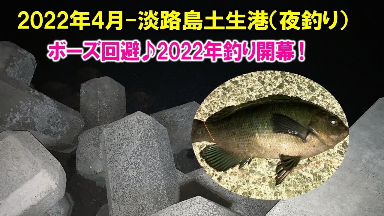 【淡路島　釣り】2022年4月南あわじ土生港で車中泊（夜釣り編）