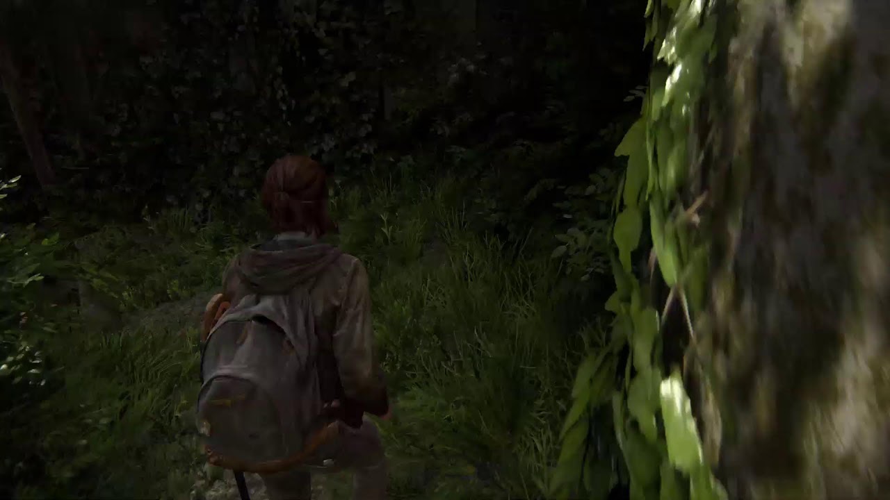 The Last of us/part2/ps5