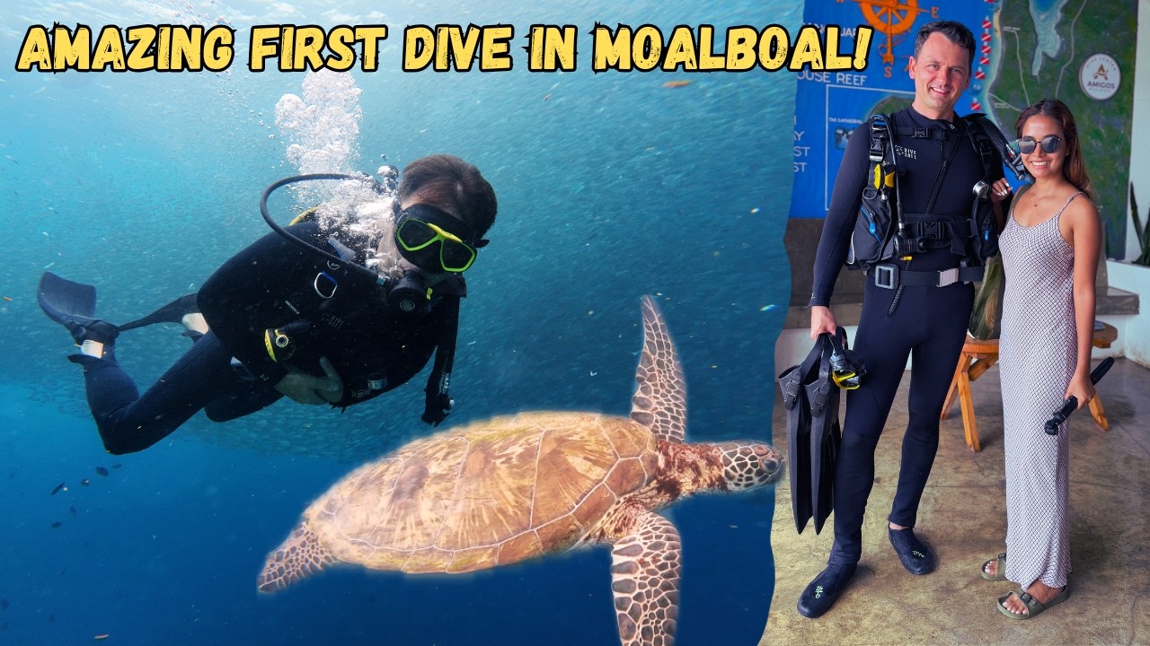 Amazing First Dive In Moalboal Cebu