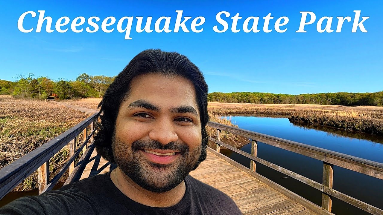 Exploring the Blue and Yellow Trails of Cheesequake State Park New Jersey
