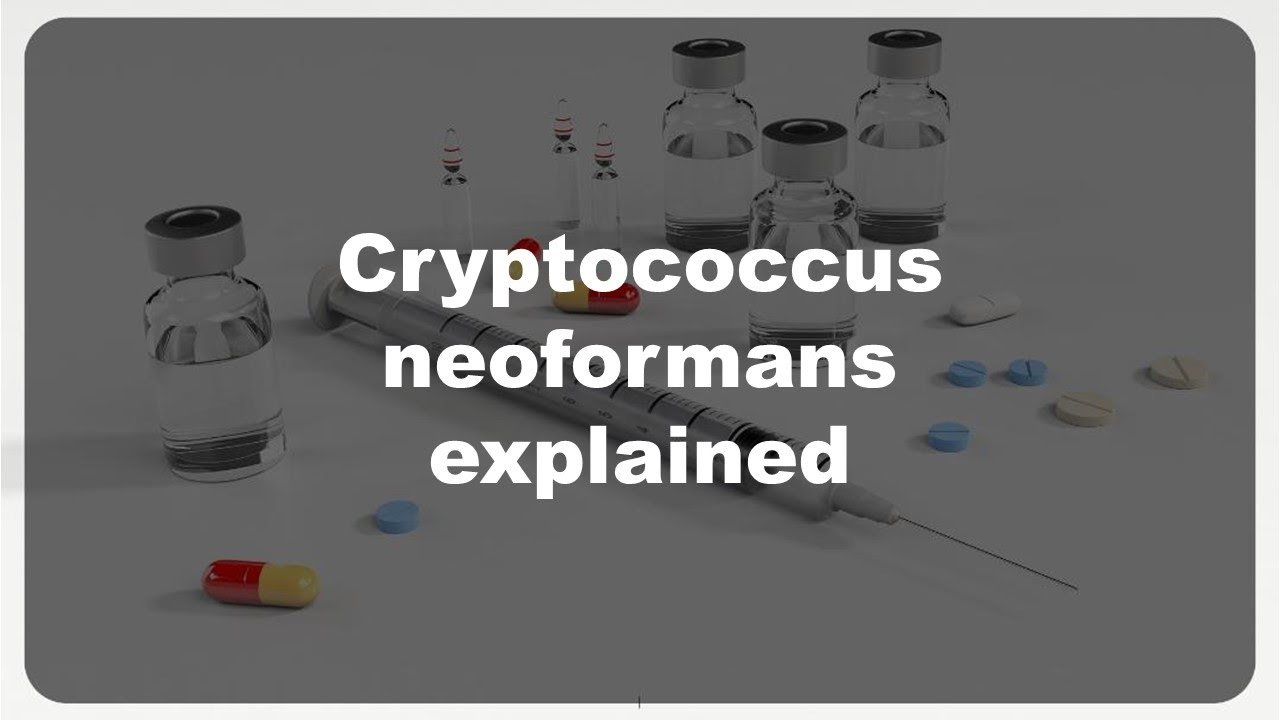 Cryptococcus neoformans